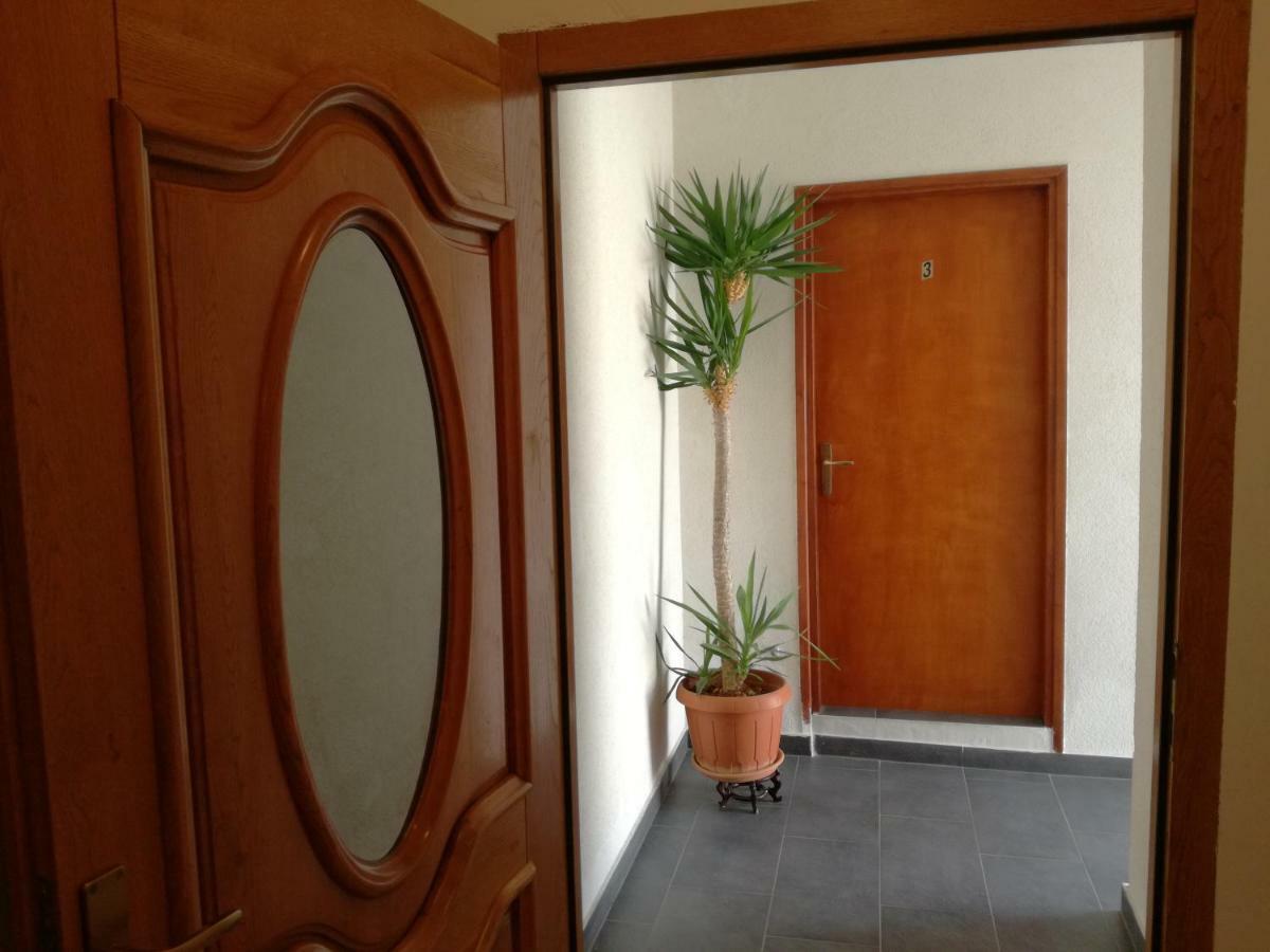 Rooms & Apartments Hegic Zadar Bagian luar foto